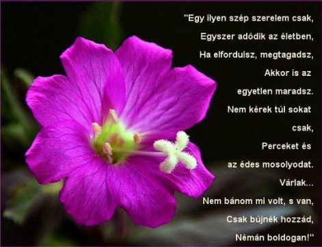 egy_ilyen_szep_szerelem.jpg egy_ilyen_szep_szerelem.jpg